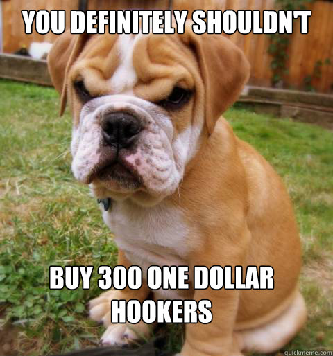 you definitely shouldnt buy 300 one dollar hookers - Disapproving puppy