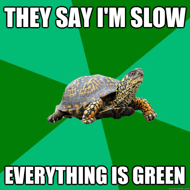they say im slow everything is green - Torrenting Turtle