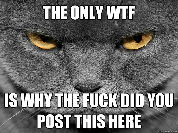 the only wtf is why the fuck did you post this here - Unimpressed Cat