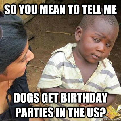 so you mean to tell me dogs get birthday parties in the us - Skeptical African Baby