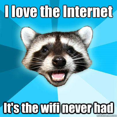 i love the internet its the wifi never had - Lame Pun Coon