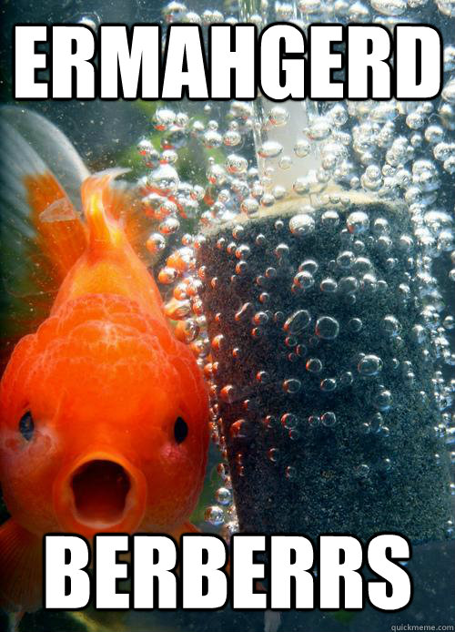 ermahgerd berberrs - Berks Fish