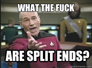 what the fuck are split ends - Annoyed Picard