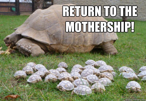 return to the mothership -