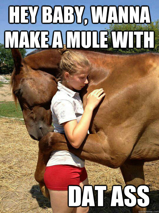 hey baby wanna make a mule with dat ass -