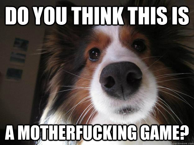 do you think this is a motherfucking game -