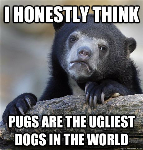 i honestly think pugs are the ugliest dogs in the world - Confession Bear