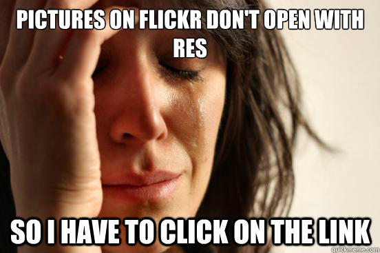 pictures on flickr dont open with res so i have to click on - First World Problems