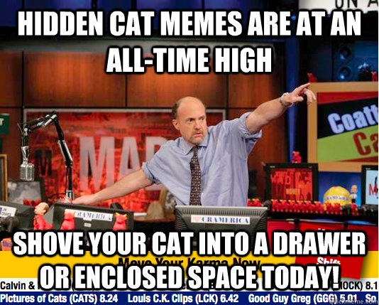 hidden cat memes are at an alltime high shove your cat into - Mad Karma with Jim Cramer