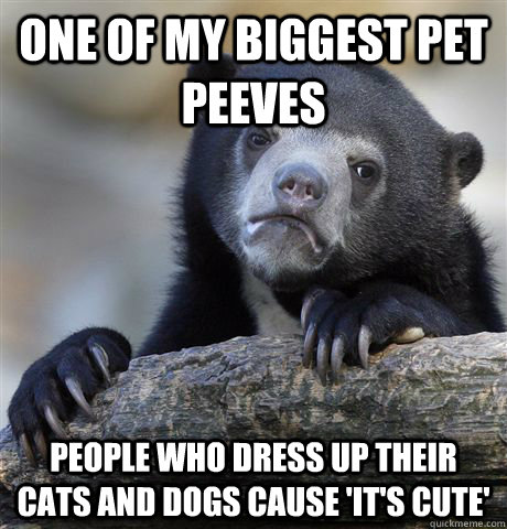 one of my biggest pet peeves people who dress up their cats - Confession Bear