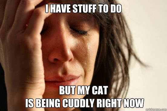 i have stuff to do but my cat is being cuddly right now - First World Problems