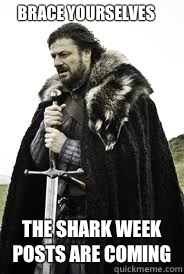 Brace Yourselves The shark week posts are coming - Brace Yourselves