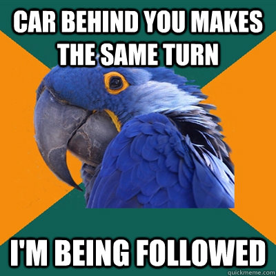 car behind you makes the same turn im being followed - Paranoid Parrot