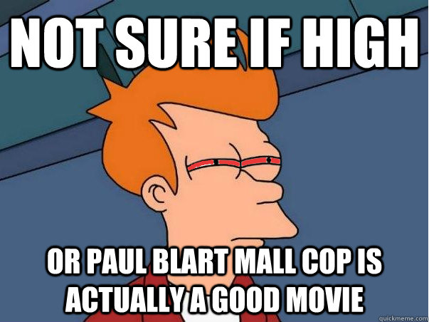 not sure if high or paul blart mall cop is actually a good m - High Fry