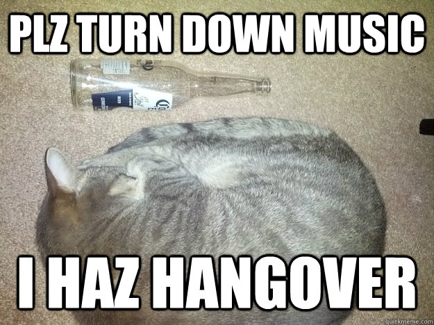 plz turn down music i haz hangover - hangover kitty