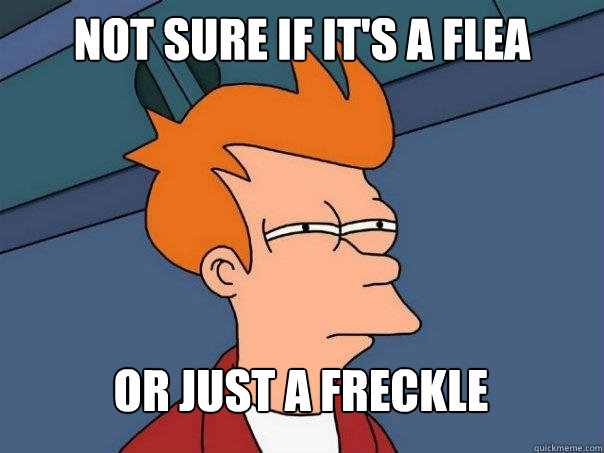 not sure if its a flea or just a freckle - Futurama Fry