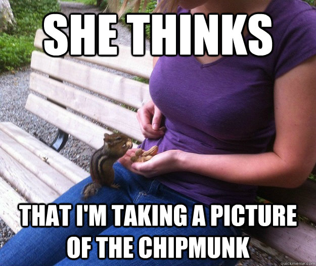 she thinks that im taking a picture of the chipmunk -