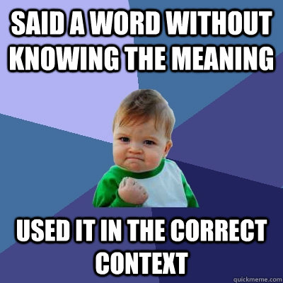 said a word without knowing the meaning used it in the corre - Success Kid