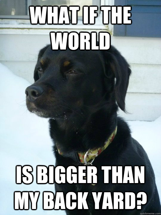 what if the world is bigger than my back yard - Philosophical Puppy
