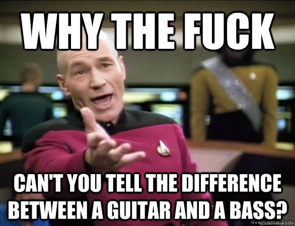 why the fuck cant you tell the difference between a guitar - Annoyed Picard HD