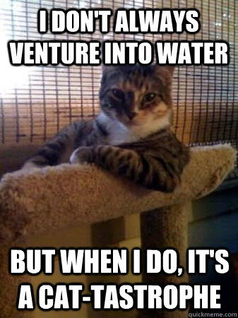 i dont always venture into water but when i do its a cat - The Most Interesting Cat in the World