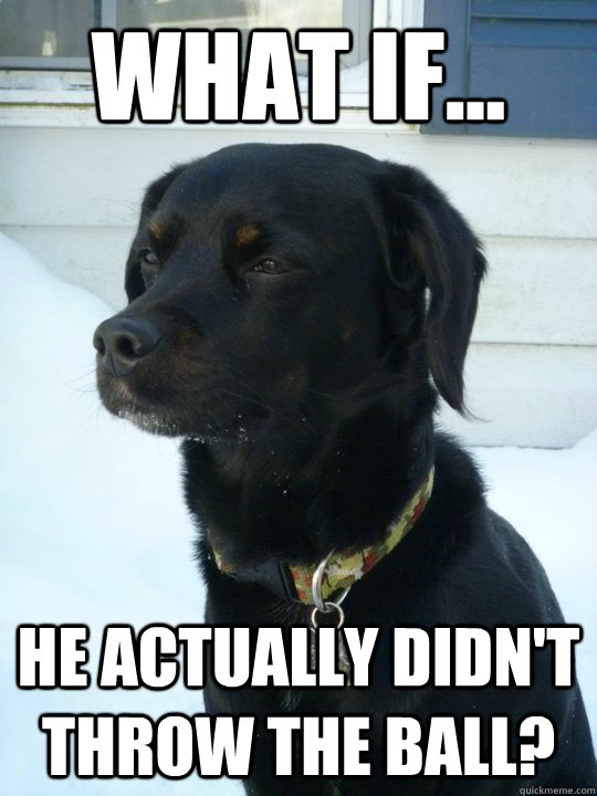 what if he actually didnt throw the ball - Philosophical Puppy