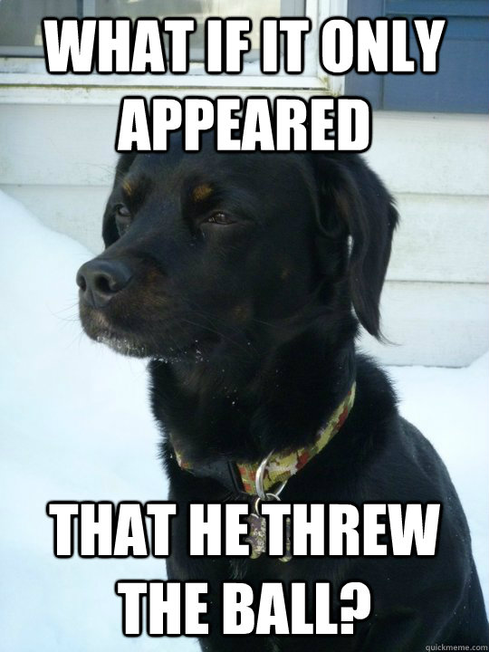 what if it only appeared that he threw the ball - Philosophical Puppy