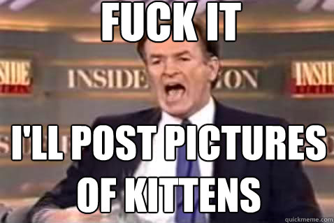 fuck it ill post pictures of kittens - Fuck It Bill OReilly