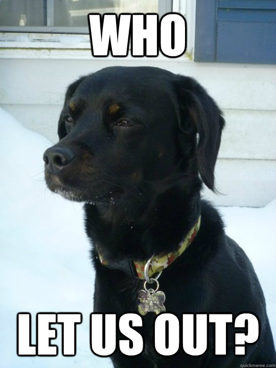 who let us out - Philosophical Puppy