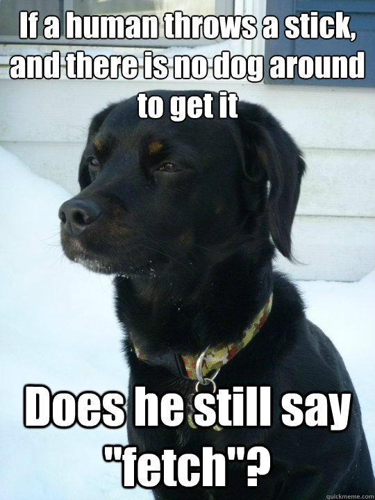 if a human throws a stick and there is no dog around to get - Philosophical Puppy