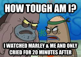 how tough am i i watched marley me and only cried for 20 - How tough am I