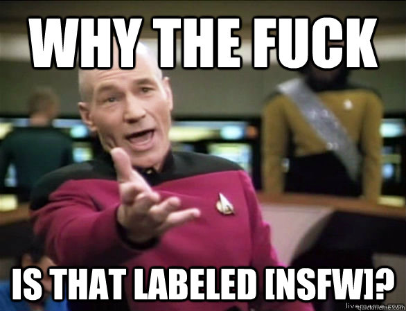 why the fuck is that labeled nsfw - Annoyed Picard HD