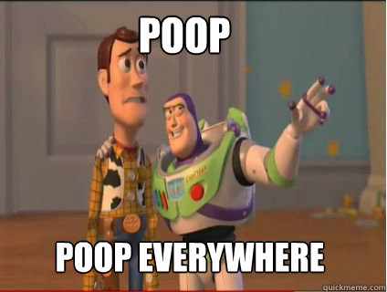poop poop everywhere - woody and buzz