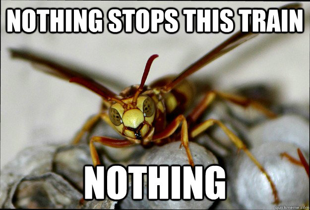 nothing stops this train nothing - breakingbadwasp