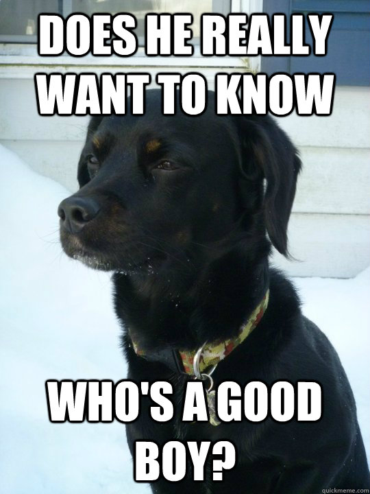 does he really want to know whos a good boy - Philosophical Puppy