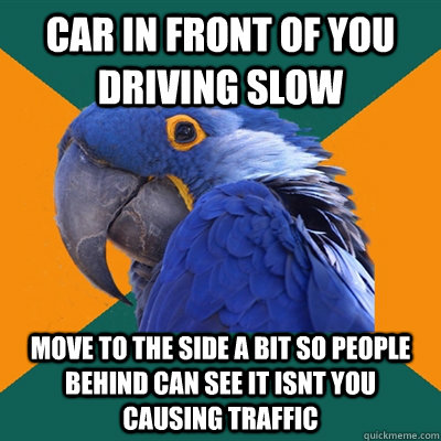 car in front of you driving slow move to the side a bit so p - Paranoid Parrot