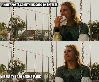 finally posts something good on rtrees misses the 420 karma - First World Stoner Problems