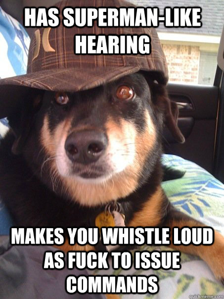 has supermanlike hearing makes you whistle loud as fuck to - Scumbag dog