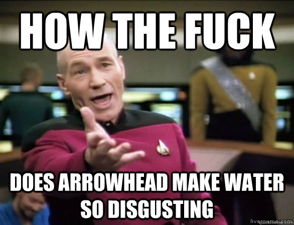 how the fuck does arrowhead make water so disgusting - Annoyed Picard HD