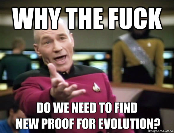 why the fuck do we need to find new proof for evolution - Annoyed Picard HD