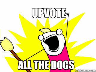 upvote all the dogs - All The Things