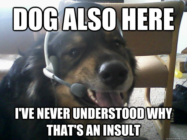 dog also here ive never understood why thats an insult -