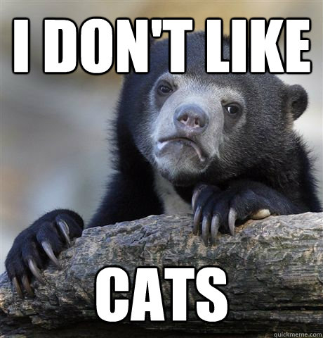 i dont like cats - Confession Bear