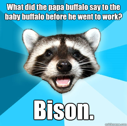 what did the papa buffalo say to the baby buffalo before he - Lame Pun Coon