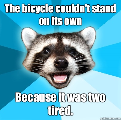 The bicycle couldnt stand on its own Because it was two tire - Lame Pun Coon