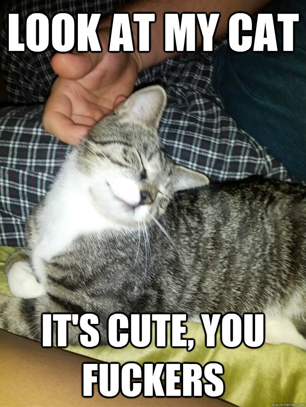 look at my cat its cute you fuckers -