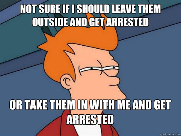 not sure if i should leave them outside and get arrested or - Futurama Fry