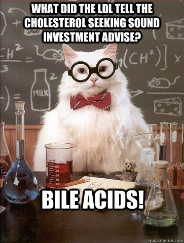 what did the ldl tell the cholesterol seeking sound investme - Chemistry Cat