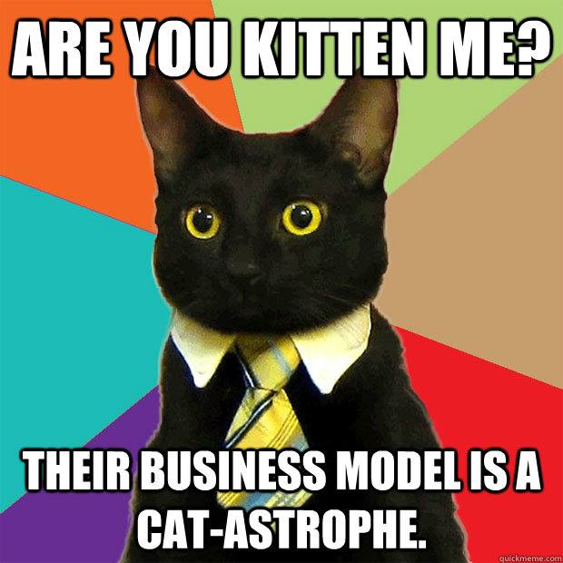 are you kitten me their business model is a catastrophe - Business Cat