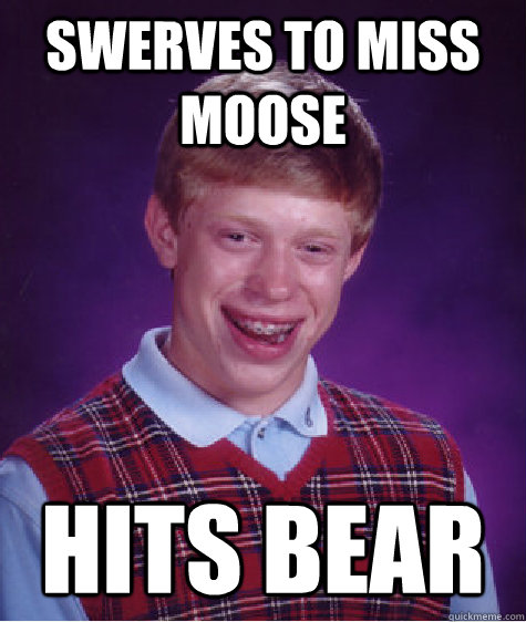 swerves to miss moose hits bear - Bad Luck Brian